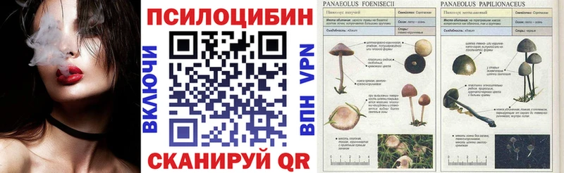 Галлюциногенные грибы прущие грибы Петров Вал
